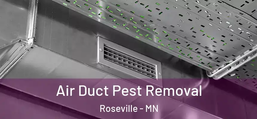  Air Duct Pest Removal Roseville - MN