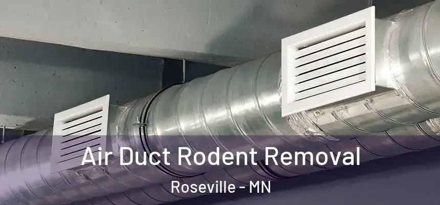  Air Duct Rodent Removal Roseville - MN