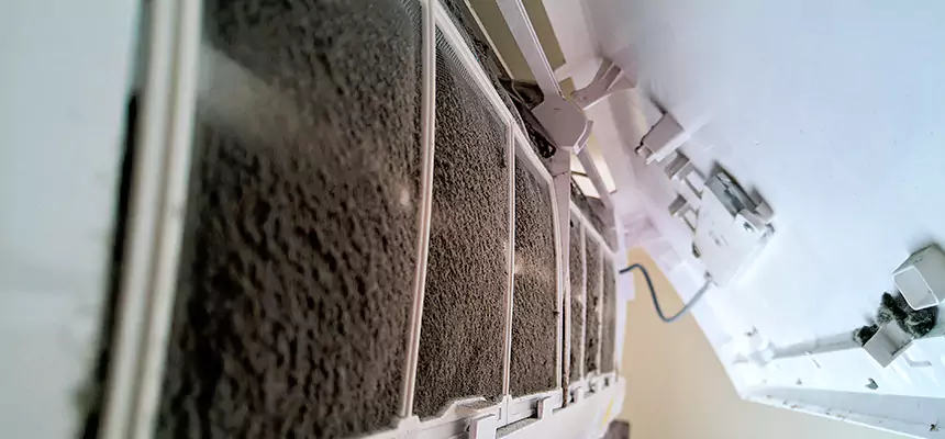 Preventive Air Duct Bacteria Removal in Roseville