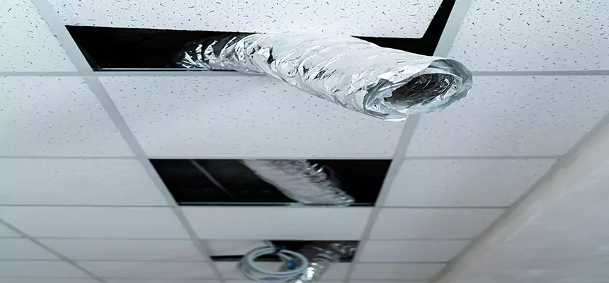 Affordable HVAC Sanitizing After Pest Removal in Roseville