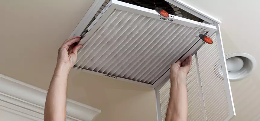 Our Insect Removal from Air Ducts Services in Roseville, MN