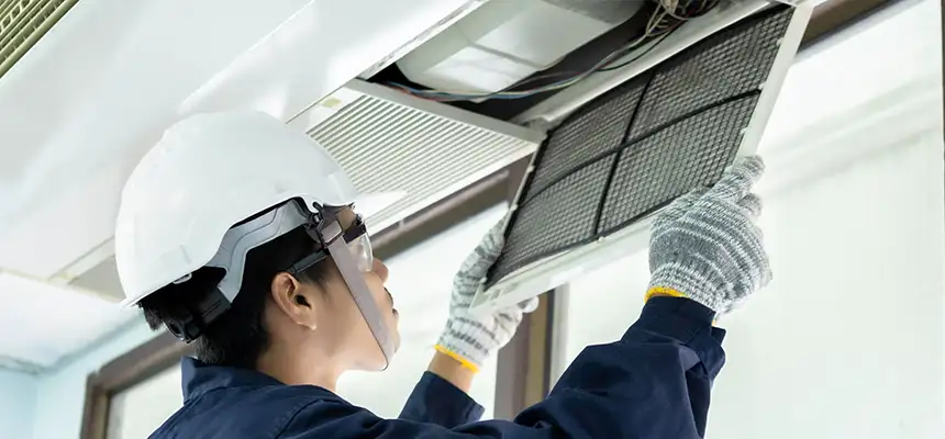 Our Lint Trap Cleaning Service Services in Roseville, MN