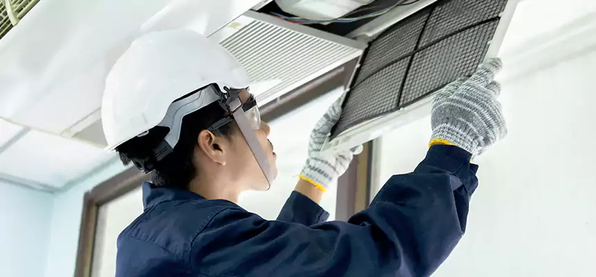 Our Mold & Mildew Removal from Air Ducts Services in Roseville, MN