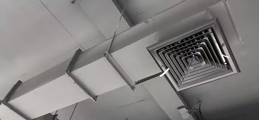 Our Rodent Droppings In Vents Services in Roseville, MN