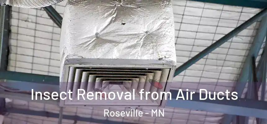 Insect Removal from Air Ducts Roseville - MN