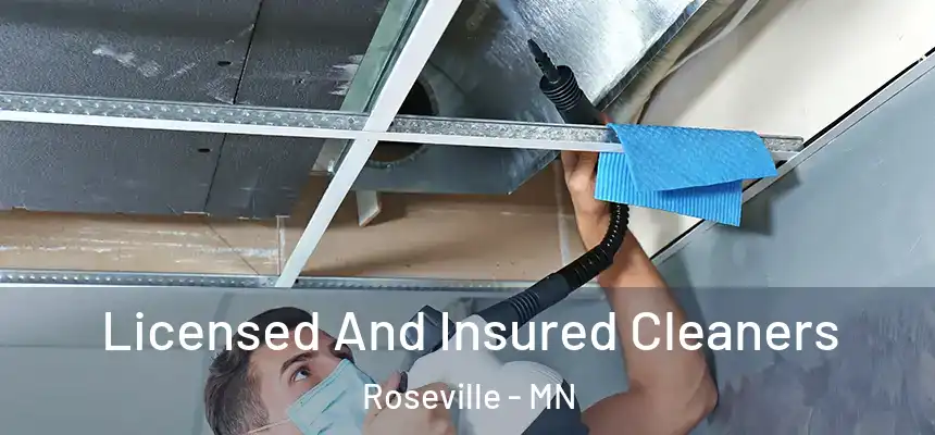 Licensed And Insured Cleaners Roseville - MN