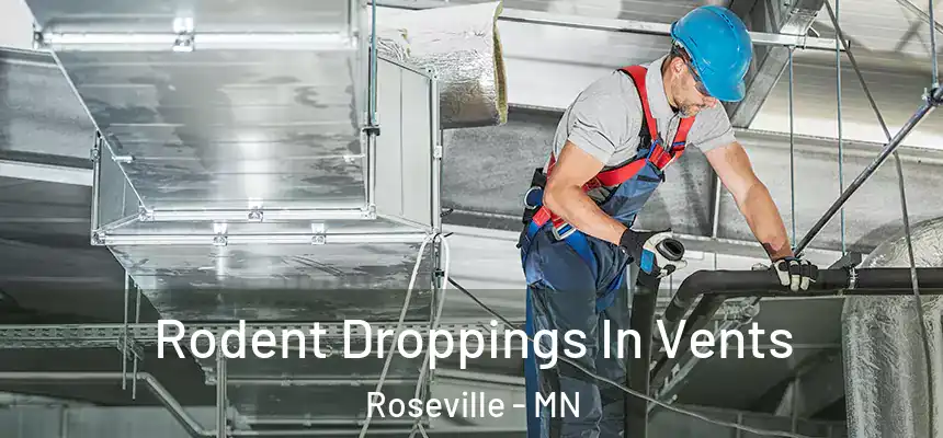  Rodent Droppings In Vents Roseville - MN