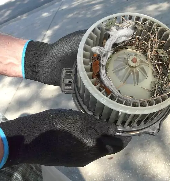 About Air Duct Mice Removal in Roseville, MN