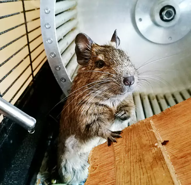 Why Homeowners & Businesses Trust Us Roseville, MN?