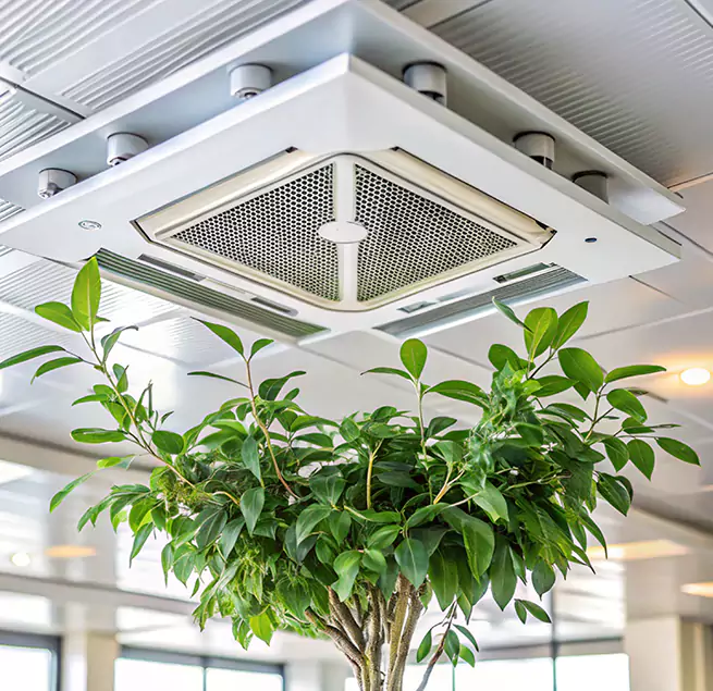 Why Homeowners & Businesses Trust Us in Roseville, MN