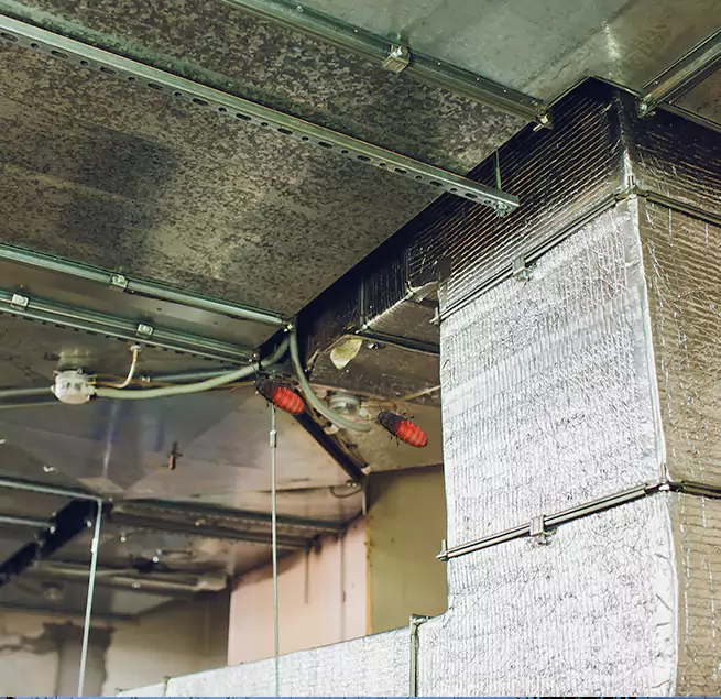 Why Homeowners & Businesses Trust Us Roseville, MN?