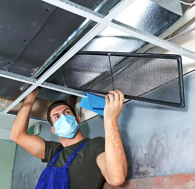 Why Homeowners Businesses Trust Us in Roseville, MN